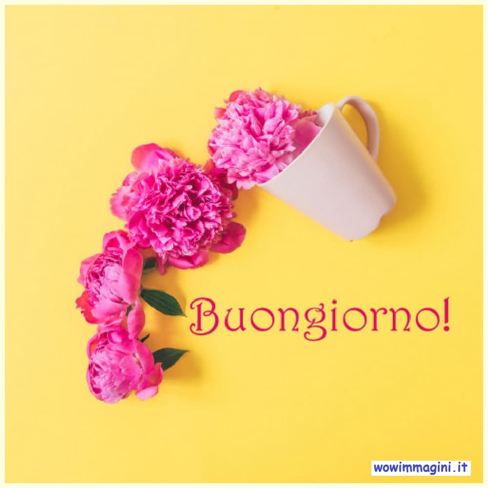 Buongiorno con i fiori! Immagini da condividere! » Wow Immagini