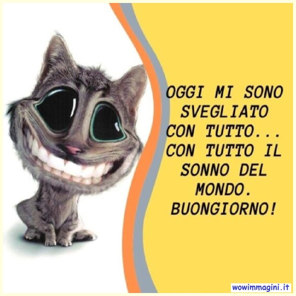 Buongiorno divertente