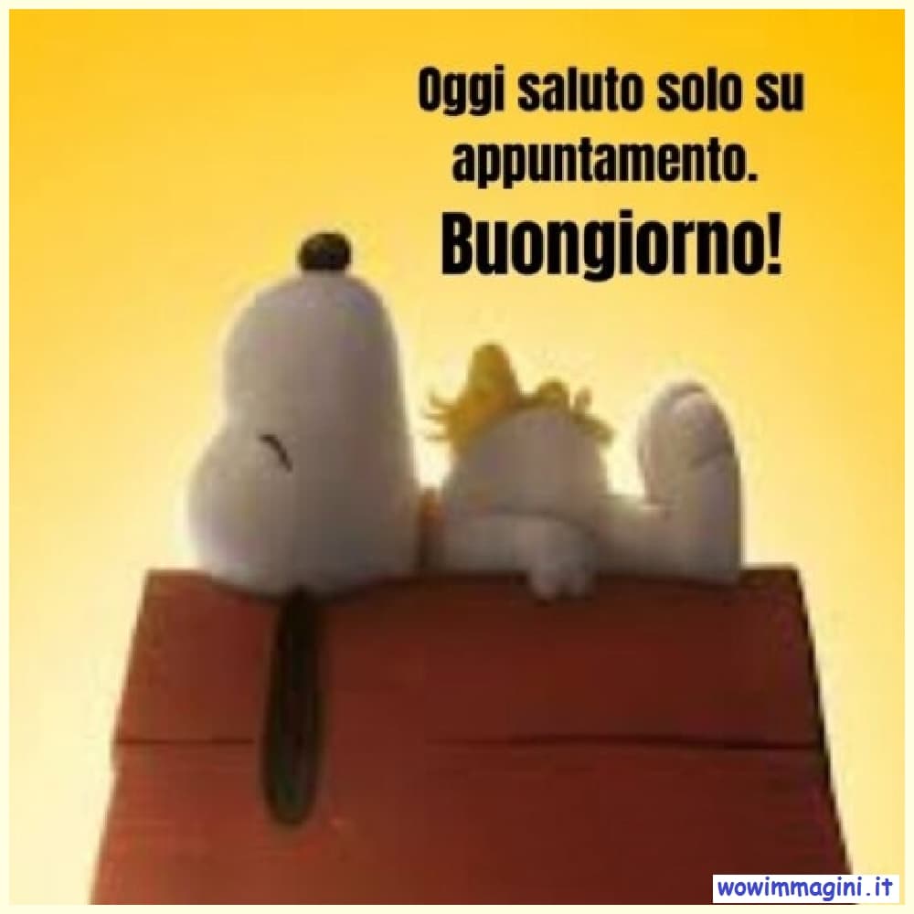 Buongiorno divertente