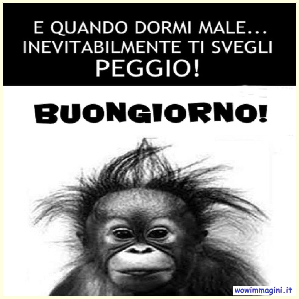 Buongiorno divertente