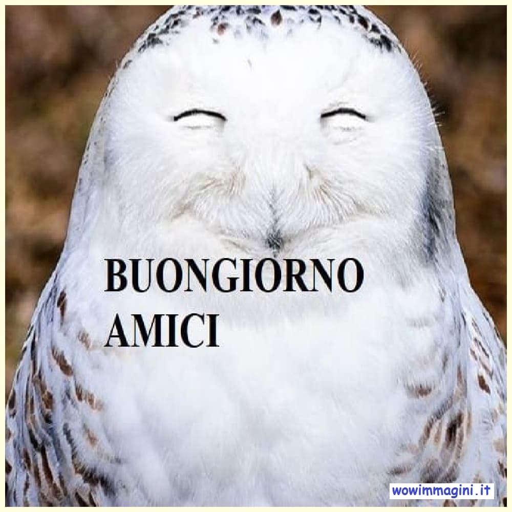 Buongiorno con animali