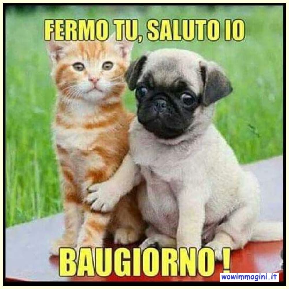 Buongiorno con animali