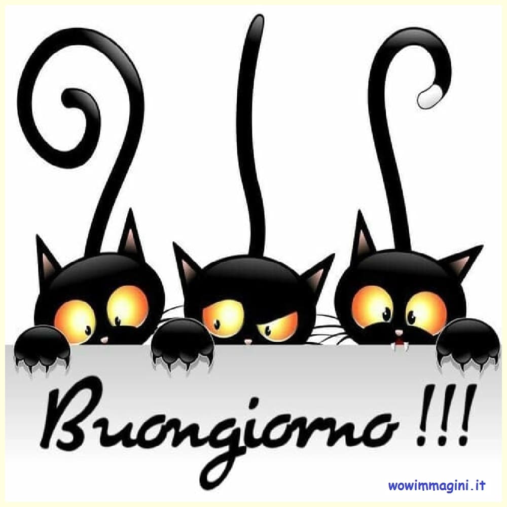 Buongiorno con animali