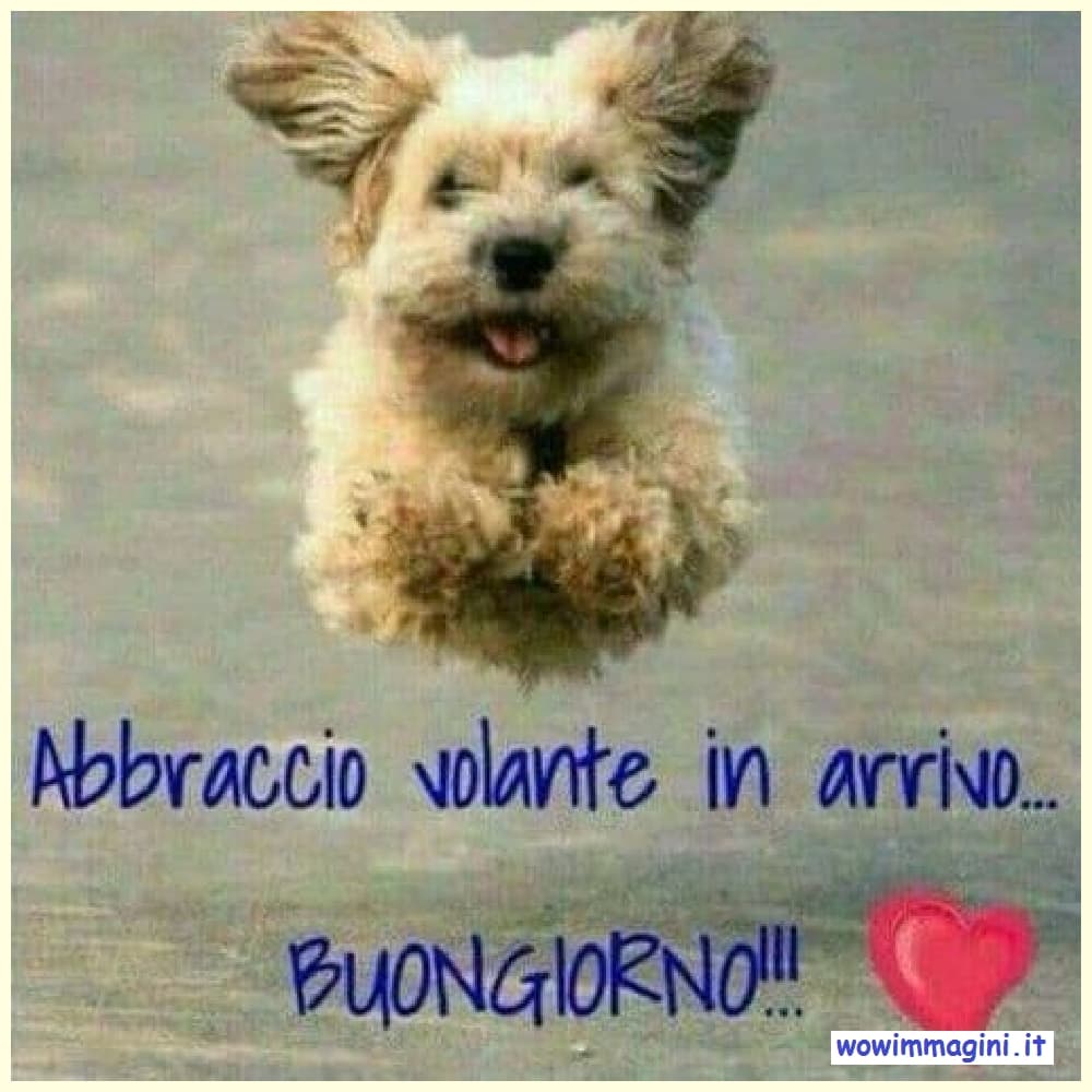 Buongiorno con animali