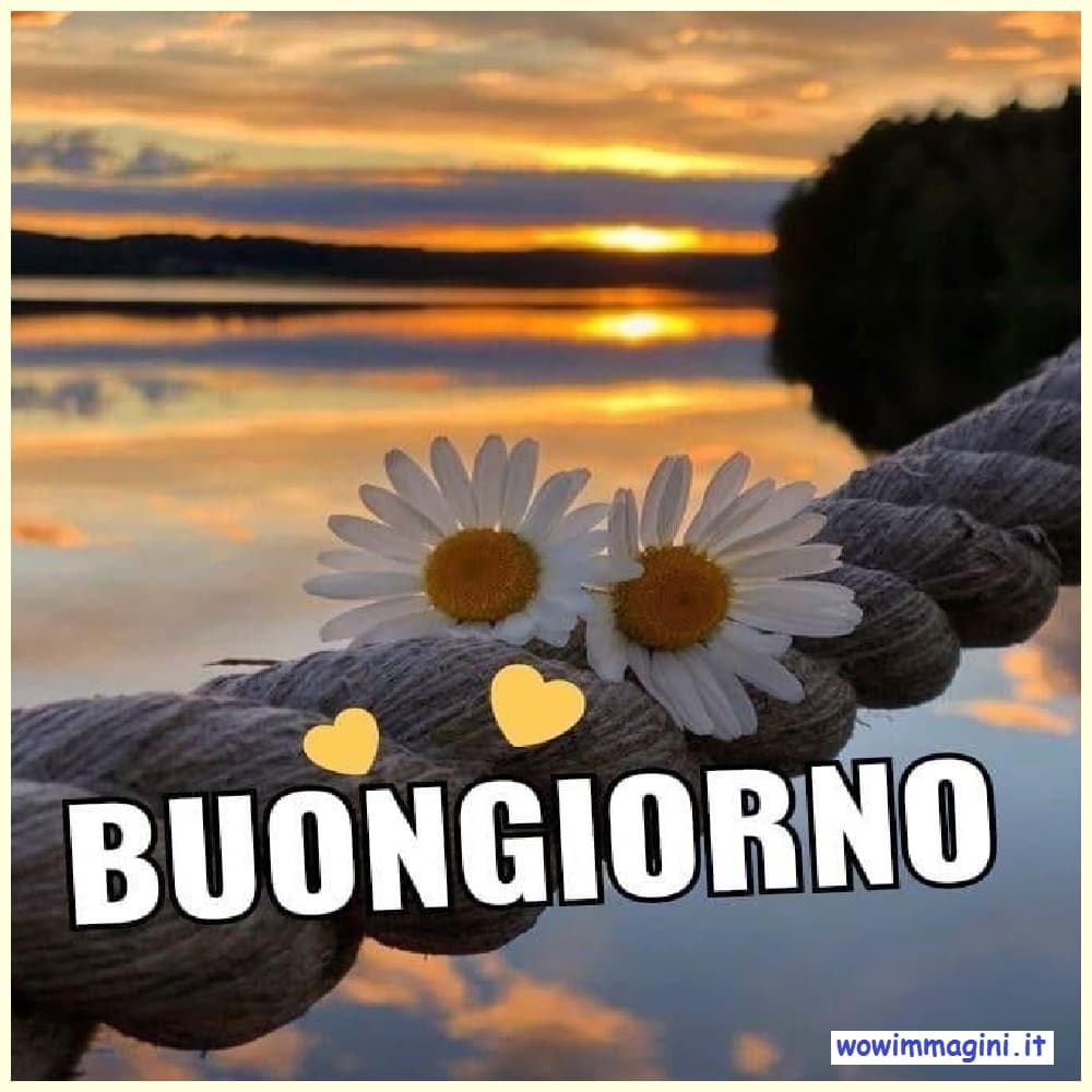 Buongiorno con i fiori