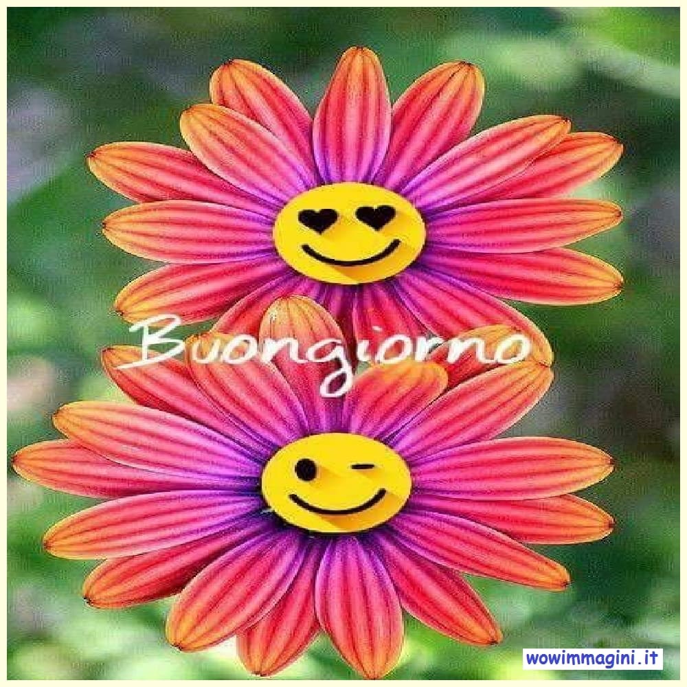 Buongiorno con i fiori