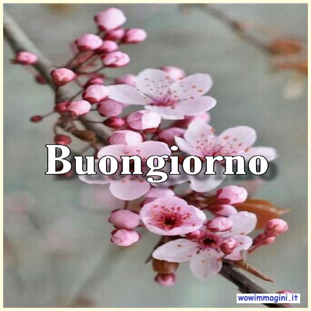 Buongiorno con i fiori