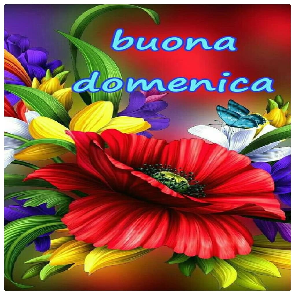 Immagini buona domenica