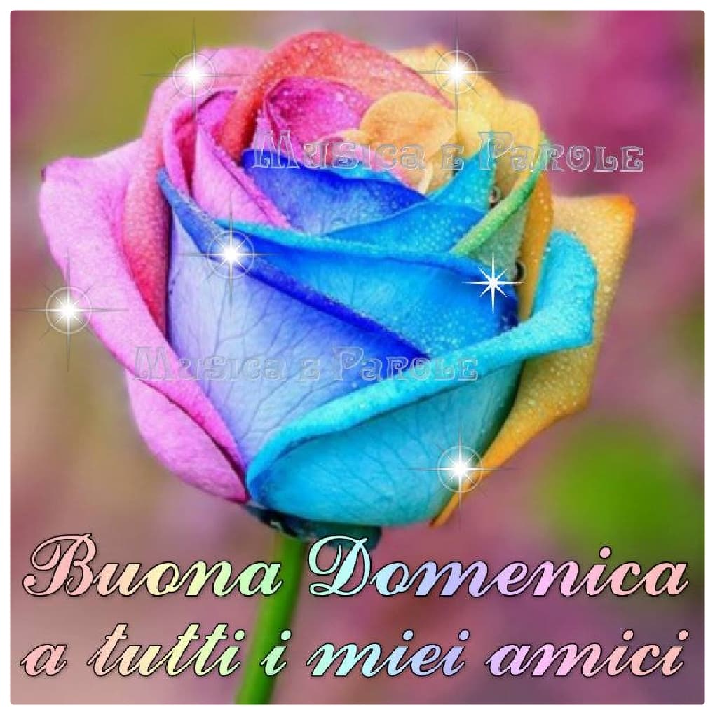 Buona Domenica