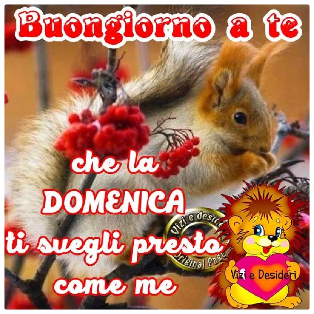 Buona Domenica