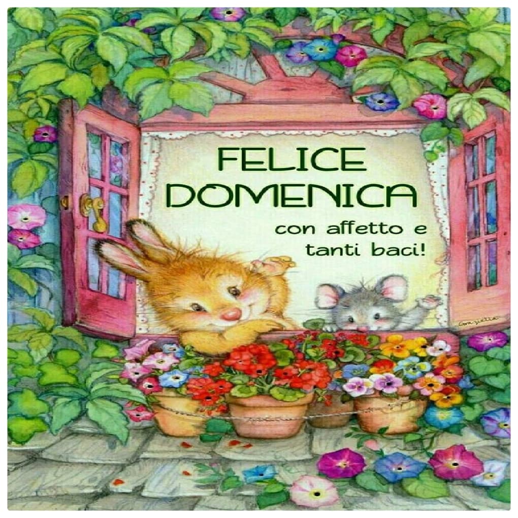 Buona Domenica