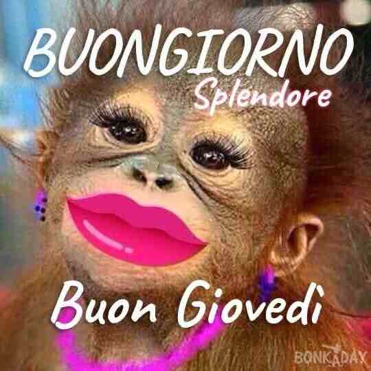 Buon giovedi