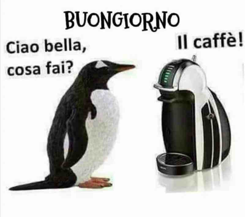 immagini buongiorno