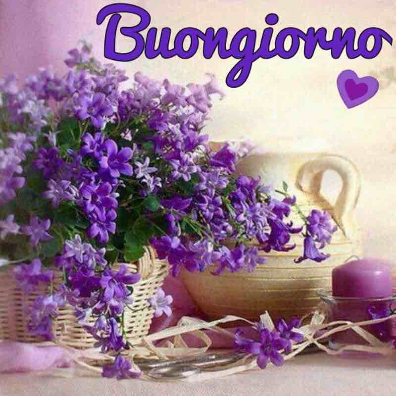 immagini buongiorno