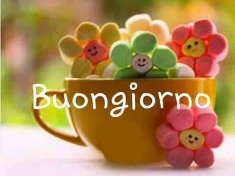 immagini buongiorno da condividere