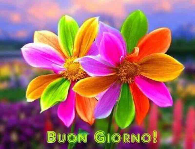 immagini buongiorno nuove