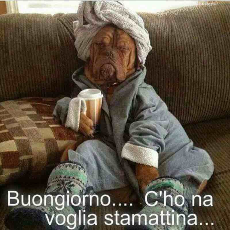 immagini buongiorno nuove