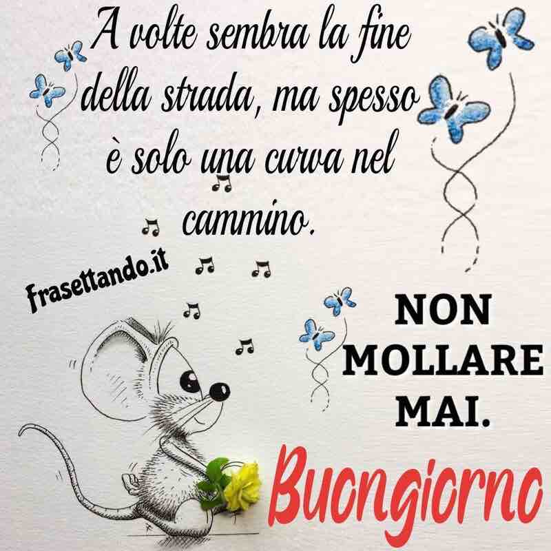 immagini buongiorno nuove