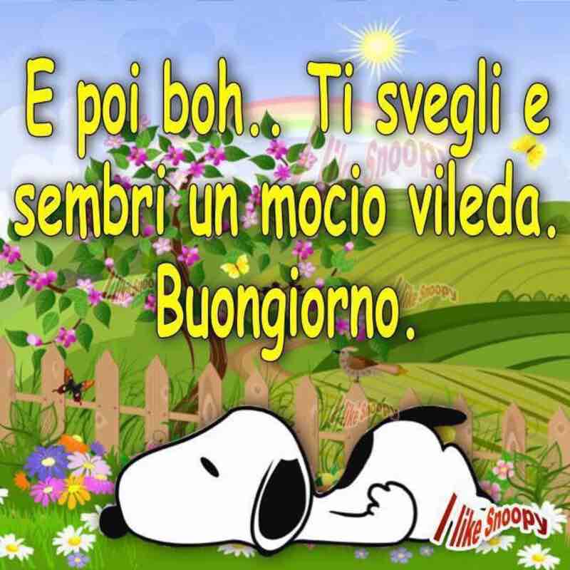 immagini buongiorno per facebook e whatsapp