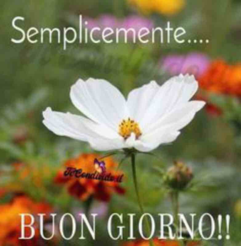 immagini buongiorno per facebook e whatsapp