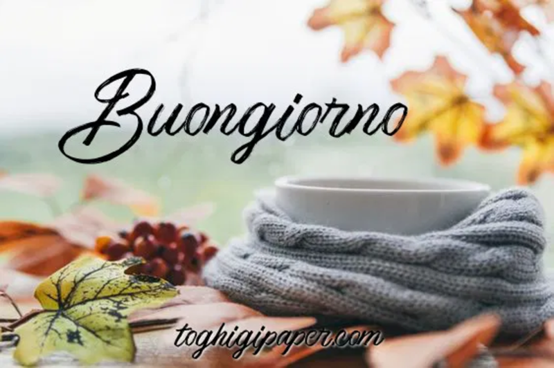 immagini buongiorno per facebook e whatsapp