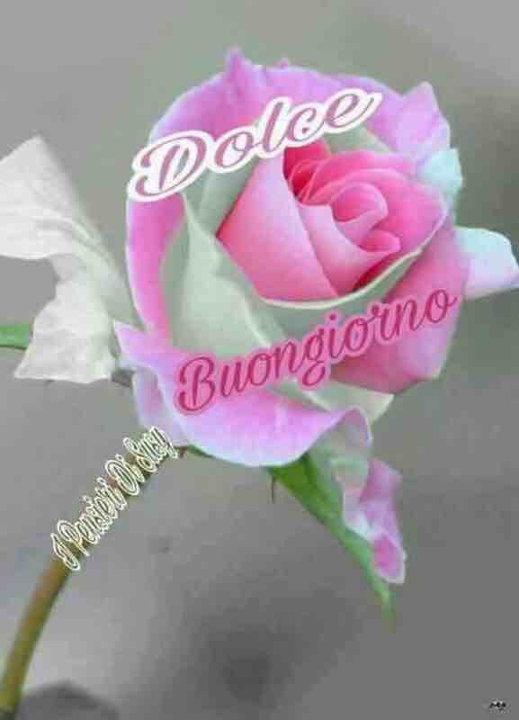 immagini buongiorno per facebook e whatsapp