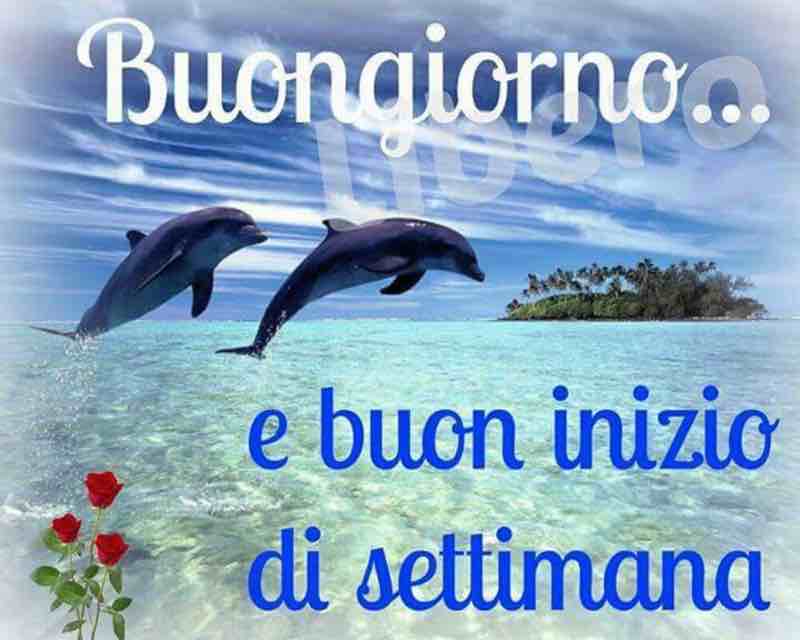 immagini buongiorno per facebook e whatsapp