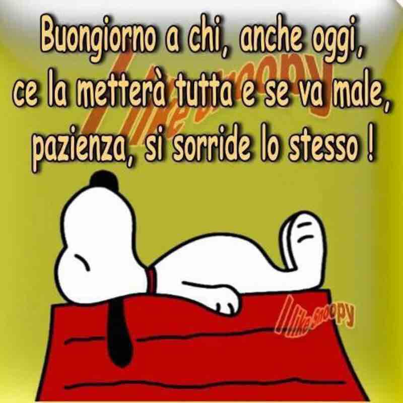 immagini buongiorno per facebook e whatsapp