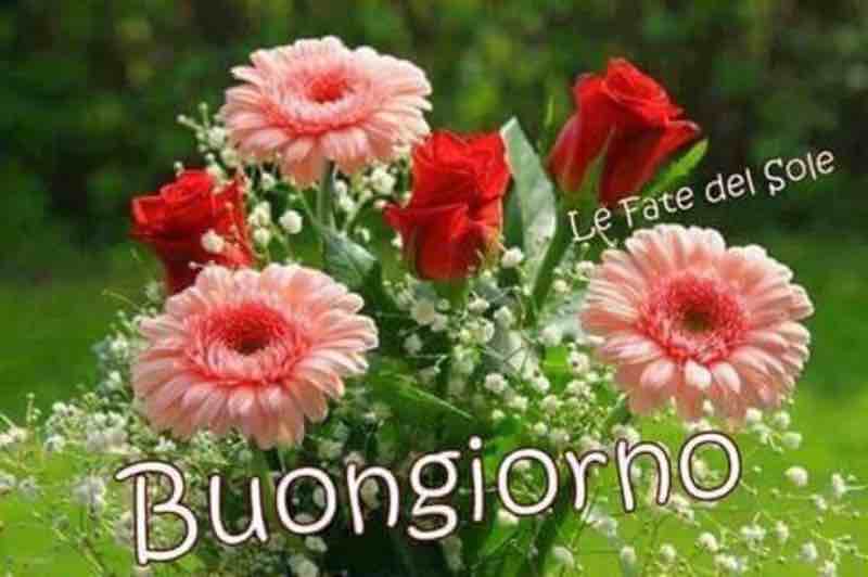 immagini buongiorno per facebook e whatsapp