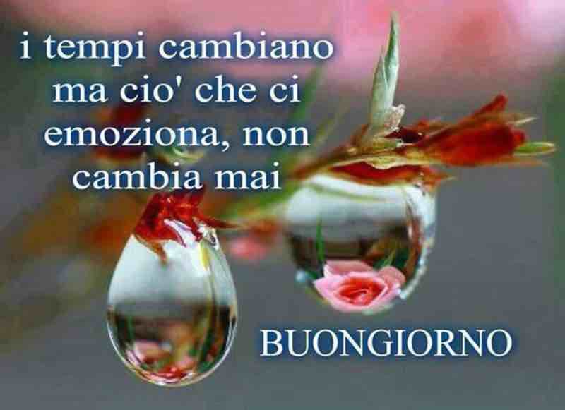 immagini buongiorno per facebook e whatsapp