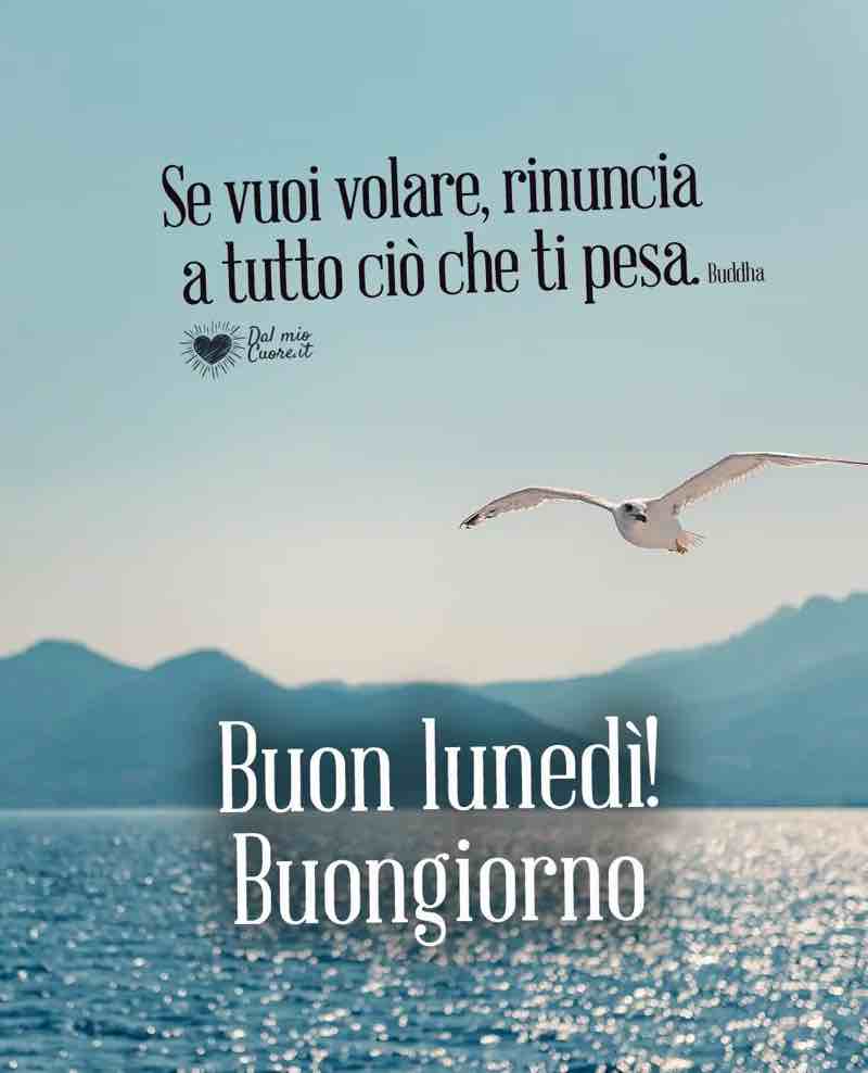 lunedi immagini nuove