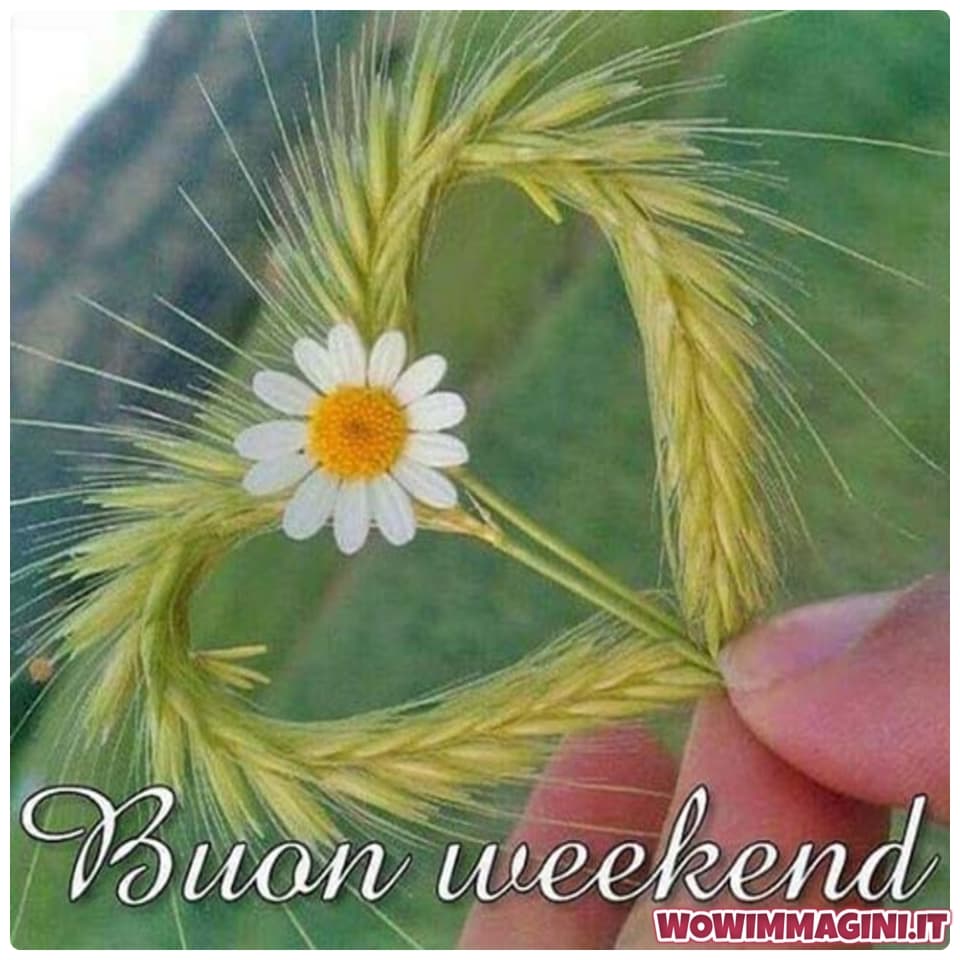 immagini buon week end